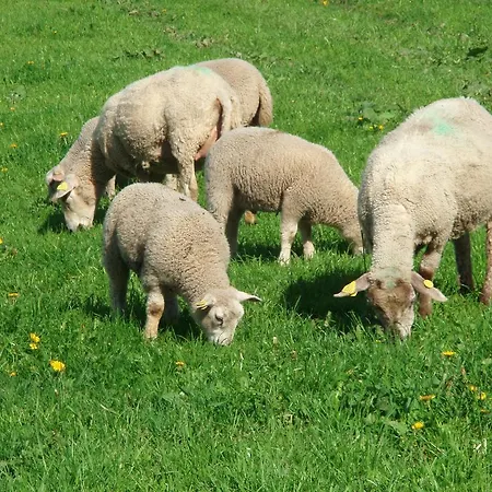 Séjour à la ferme Roosu Talu