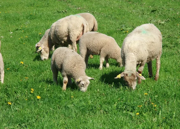 Farm stay Roosu Talu